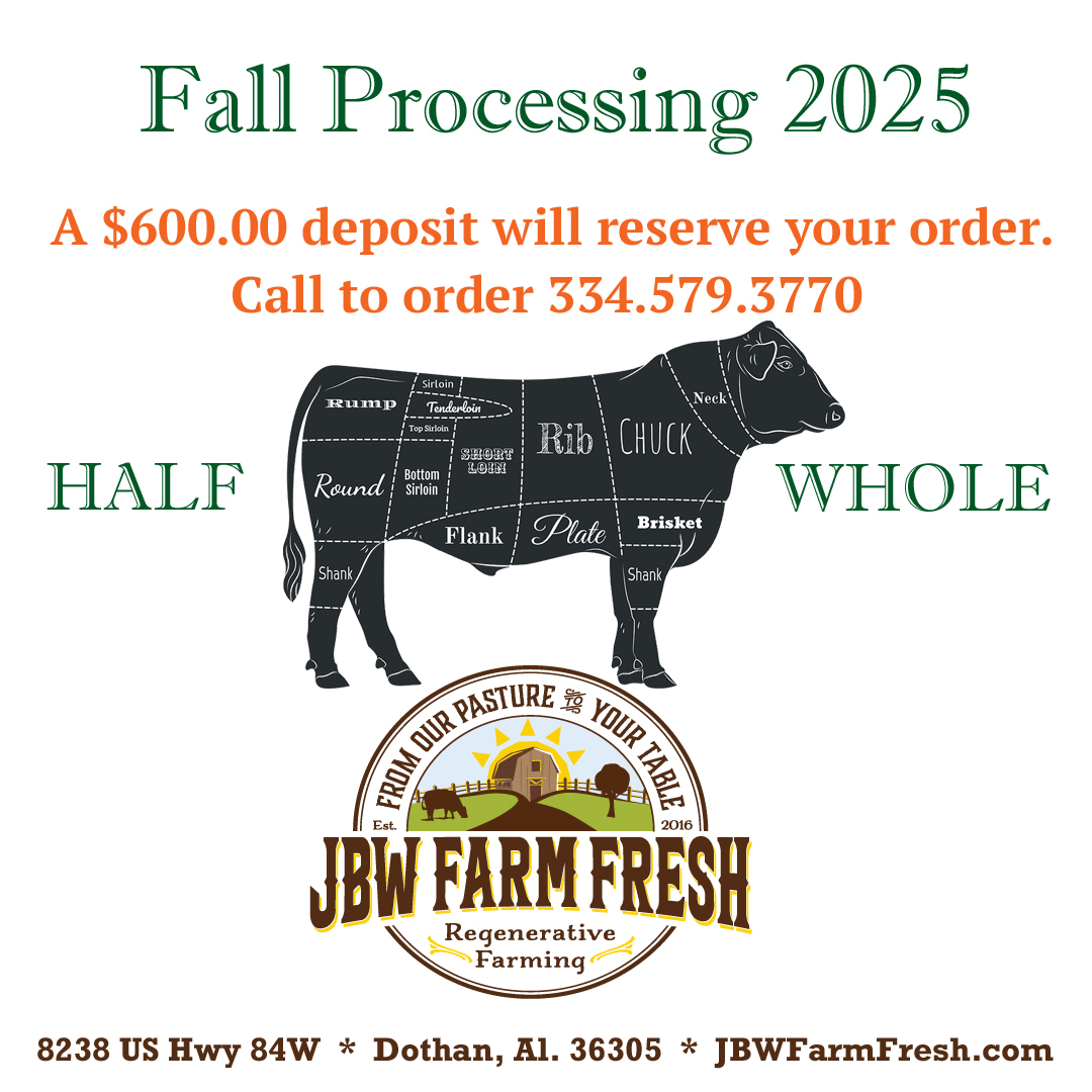 JBW-Beef-Fall-Processing-2025